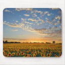 Search for state flower mousepads Sunflower