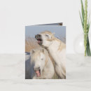 Search for white stallion cards Horse