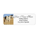 Search for mustangs return address labels Animal