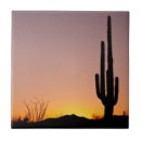 Search for s shape photography Outdoors