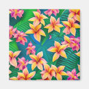 Search for hula magnets Aloha