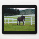 Search for cedar electronics Animal