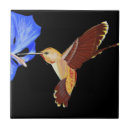 Search for hummingbird tiles Trochilidae