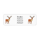 Search for caribou return address labels Antlers