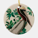 Search for pelican christmas tree decorations Nature