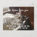 Search for life lesson Motivational quote