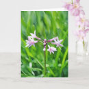 Search for kitchen garden cards Nature