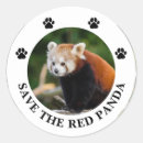 Search for red pandas stickers Wildlife
