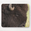 Search for south dakota electronics Animal