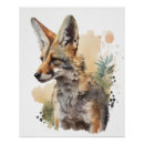 Search for coyote art Nature