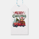 Search for cow gift tags Funny animal