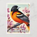 Search for oriole postcards Maryland