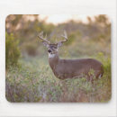 Search for white tailed deer mousepads Texas