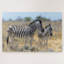 Search for zebra puzzles Animals
