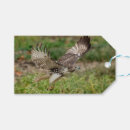 Search for predator gift wrap Raptor