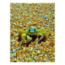 Search for fiddler Crab