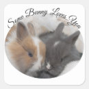 Search for some bunny loves you stickers Rabbit
