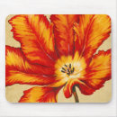 Search for parrot electronics Flowers