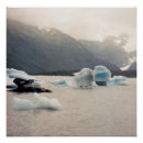 Search for ocean conservation posters Global warming