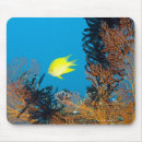 Search for fish viewing electronics Nature