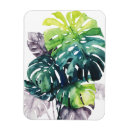 Search for leafs magnets Leaves