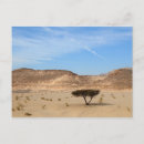 Search for desert tree Mountains