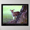 Search for bambi posters Fawn