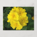 Search for yellow postage Floral