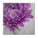 Search for grey flower tiles Nature