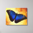 Search for blue butterfly canvas prints Wildlife