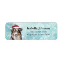 Search for australian shepherd dog return address labels Blue