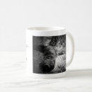 Search for cattitudes mugs Crazy cat lady