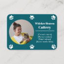 Search for cat breeder business cards Animal