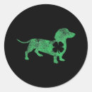 Search for dog st patricks day stickers Lucky