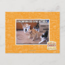 Search for attackers postcards I can has cheezburger