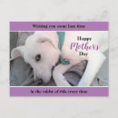 Search for light purple postcards Beautiful
