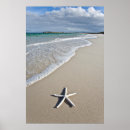 Search for remote paint Sea