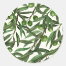 Search for olive branch stickers Botanical