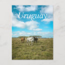 Search for uruguay postcards South america
