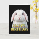 Search for rabbit birthday cards Animal