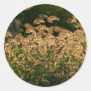 Search for growing stickers Seed