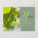 Search for growing postcards Encouragement