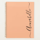 Search for peach planners Script