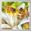 Search for apiarist posters Insect