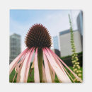 Search for z magnets Floral