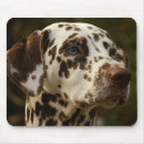 Search for brown eye mousepads Dog