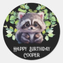 Search for cute raccoon stickers Woodland animals