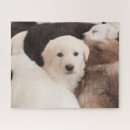 Search for golden retriever puppy puzzles Domestic animals