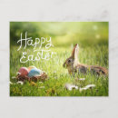 Search for easter bunny postcards Grass