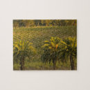 Search for barossa Glaymond wines